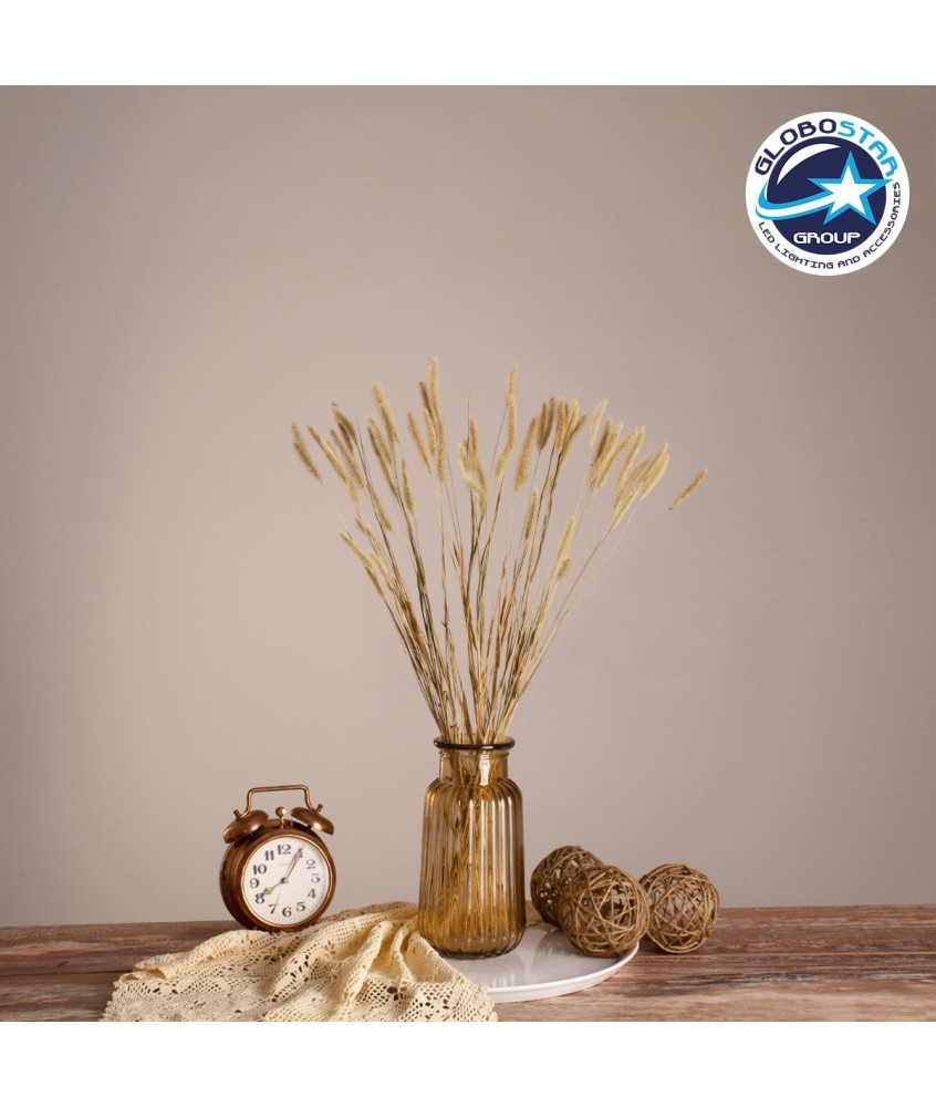 GloboStar® FOUNTAINGRASS 36542 Αποξηραμένο Φυτό Πεννίζετο - Μπουκέτο Διακοσμητικών Κλαδιών Μπεζ - Πράσινο Υ60cm - Σετ 50 τμχ